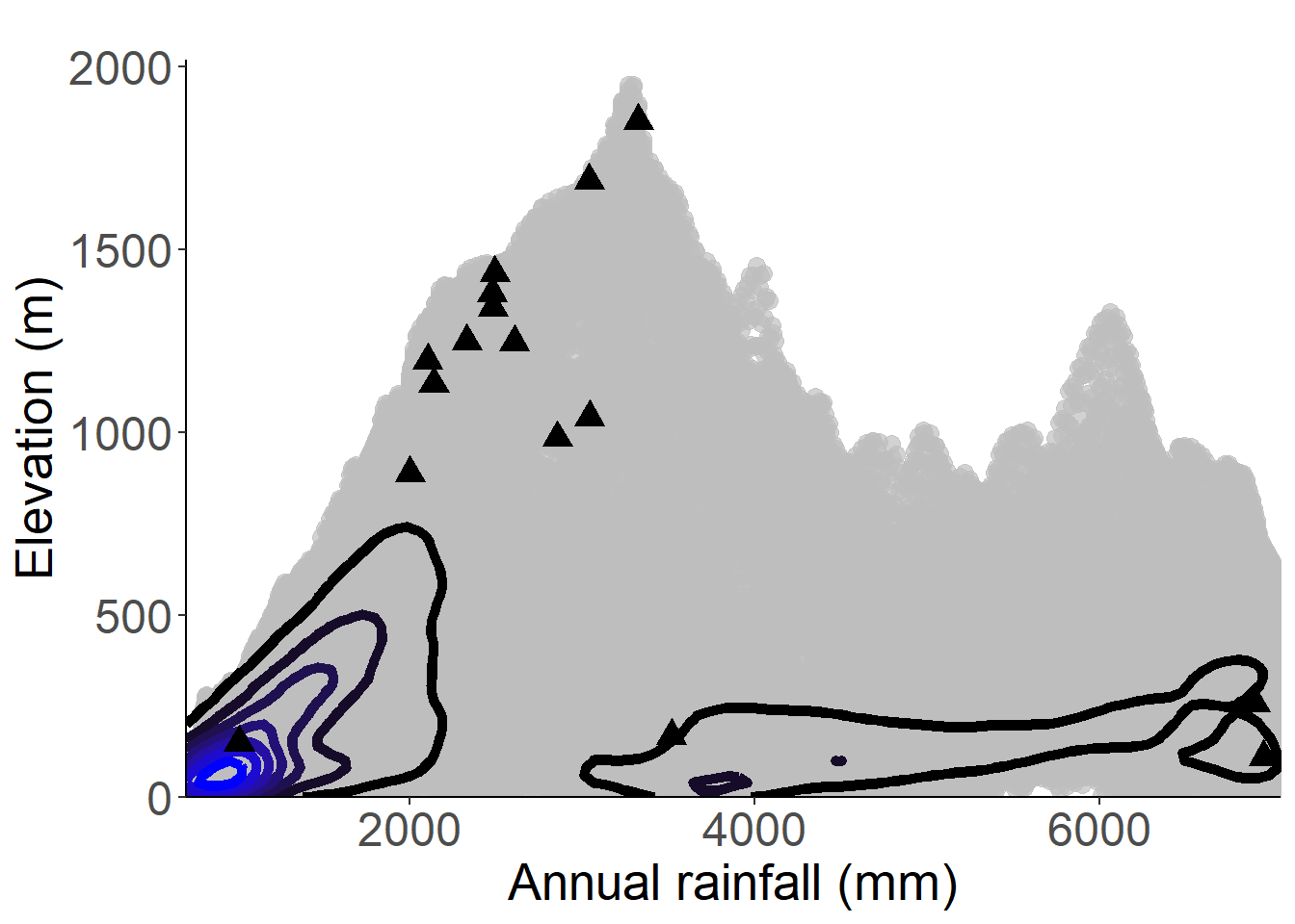 Occurrences of Asplenium eurysorum in the climate conditions of São Tomé.